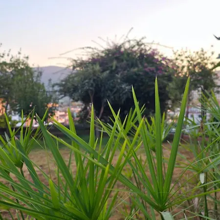 Ephesus 3* Selçuk